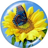 20MM   Flower  Butterfly  USA  Print   glass  snaps buttons