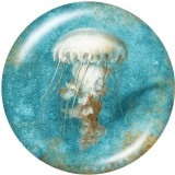 20MM Beach  Shell   Print   glass  snaps buttons
