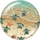 20MM  Beach sea turtle  Ocean  Print   glass  snaps buttons