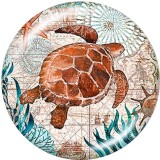 20MM Beach Ocean  sea turtle   Print   glass  snaps buttons