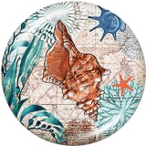 20MM Beach Ocean  sea turtle   Print   glass  snaps buttons