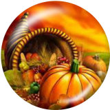 20MM  Thanksgiving   Print   glass  snaps buttons