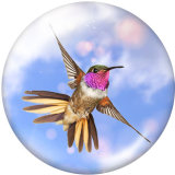 20MM  Hummingbird  Butterfly  Print   glass  snaps buttons