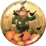 20MM  Halloween  Pumpkin  Print   glass  snaps buttons