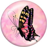 20MM  Hummingbird  Butterfly  Print   glass  snaps buttons