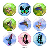 20MM  Hummingbird  Butterfly  Print   glass  snaps buttons