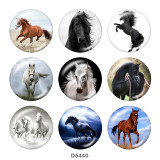 20MM  Horse  Print   glass  snaps buttons