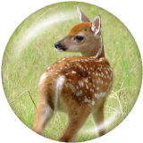 Painted metal snaps 20mm  charms  Deer  Print