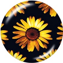 Painted metal snaps 20mm  charms  Sunflower  Flag  USA  Print