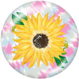 Painted metal snaps 20mm  charms  color  Flower  Print