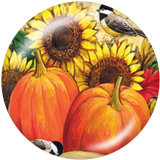 Painted metal snaps 20mm  charms   Happy ThanksGivin   Print