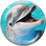 Painted metal snaps 20mm  charms  Survivor   dolphin   Print