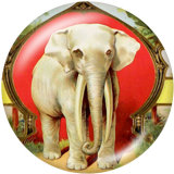 Painted metal snaps 20mm  charms  Elephant  Ribbon   Flower  Print