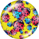 Painted metal snaps 20mm  charms  Butterfly  Wing  Print