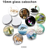 10pcs/lot  Cat  White Swan  glass picture printing products of various sizes  Fridge magnet cabochon