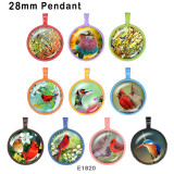10pcs/lot  Hummingbird  bird  glass picture printing products of various sizes  Fridge magnet cabochon