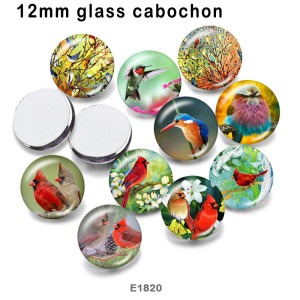 10pcs/lot  Hummingbird  bird  glass picture printing products of various sizes  Fridge magnet cabochon