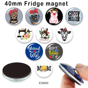 10pcs/lot MOM  Cat  Dog  glass picture printing products of various sizes  Fridge magnet cabochon
