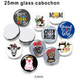 10pcs/lot MOM  Cat  Dog  glass picture printing products of various sizes  Fridge magnet cabochon