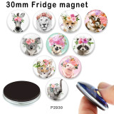 10pcs/lot  Elephant  Cat  glass picture printing products of various sizes  Fridge magnet cabochon