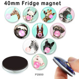 10pcs/lot  Dog Deer zebra  glass picture printing products of various sizes  Fridge magnet cabochon