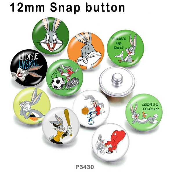 10pcs/lot  Cartoon  rabbit glass picture printing products of various sizes  Fridge magnet cabochon