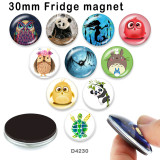 10pcs/lot  sea turtle Owl  glass picture printing products of various sizes  Fridge magnet cabochon