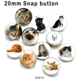 10pcs/lot  Cat  glass picture printing products of various sizes  Fridge magnet cabochon