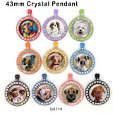 10pcs/lot  Dog  glass picture printing products of various sizes  Fridge magnet cabochon