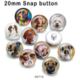 10pcs/lot  Dog  glass picture printing products of various sizes  Fridge magnet cabochon