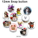 10pcs/lot  Dog  glass picture printing products of various sizes  Fridge magnet cabochon