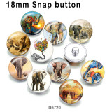 10pcs/lot  Elephant  glass picture printing products of various sizes  Fridge magnet cabochon