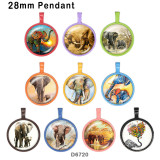 10pcs/lot  Elephant  glass picture printing products of various sizes  Fridge magnet cabochon