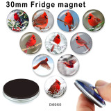 10pcs/lot  Cardinal  bird  glass picture printing products of various sizes  Fridge magnet cabochon