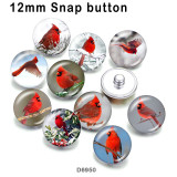 10pcs/lot  Cardinal  bird  glass picture printing products of various sizes  Fridge magnet cabochon