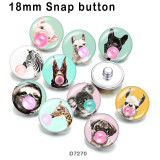10pcs/lot  Dog  pig  zebra  glass picture printing products of various sizes  Fridge magnet cabochon