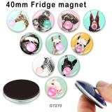 10pcs/lot  Dog  pig  zebra  glass picture printing products of various sizes  Fridge magnet cabochon