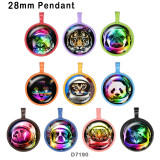 10pcs/lot Cat  princess  glass picture printing products of various sizes  Fridge magnet cabochon