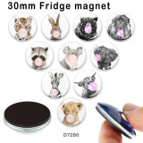10pcs/lot rabbit Elephant zebra glass picture printing products of various sizes  Fridge magnet cabochon