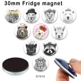 10pcs/lot  Lion  bear glass picture printing products of various sizes  Fridge magnet cabochon