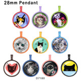 10pcs/lot Cat Flower princess  glass picture printing products of various sizes  Fridge magnet cabochon