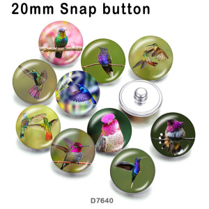 10pcs/lot  Hummingbird  glass picture printing products of various sizes  Fridge magnet cabochon