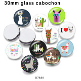 10pcs/lot  Alpaca  glass picture printing products of various sizes  Fridge magnet cabochon