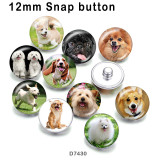 10pcs/lot  Dog  glass picture printing products of various sizes  Fridge magnet cabochon