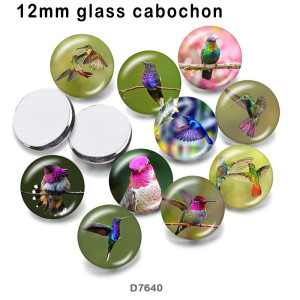 10pcs/lot  Hummingbird  glass picture printing products of various sizes  Fridge magnet cabochon