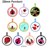 10pcs/lot  thank you ladybird  glass picture printing products of various sizes  Fridge magnet cabochon