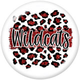 20MM words  wildcats   Print  glass  snaps buttons