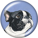 20MM Dog  Love  Snowman  Print  glass  snaps buttons