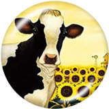 20MM  Love  Flower   cattle  Print  glass  snaps buttons