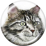 20MM  princess  Cat  Halloween  Print  glass  snaps buttons